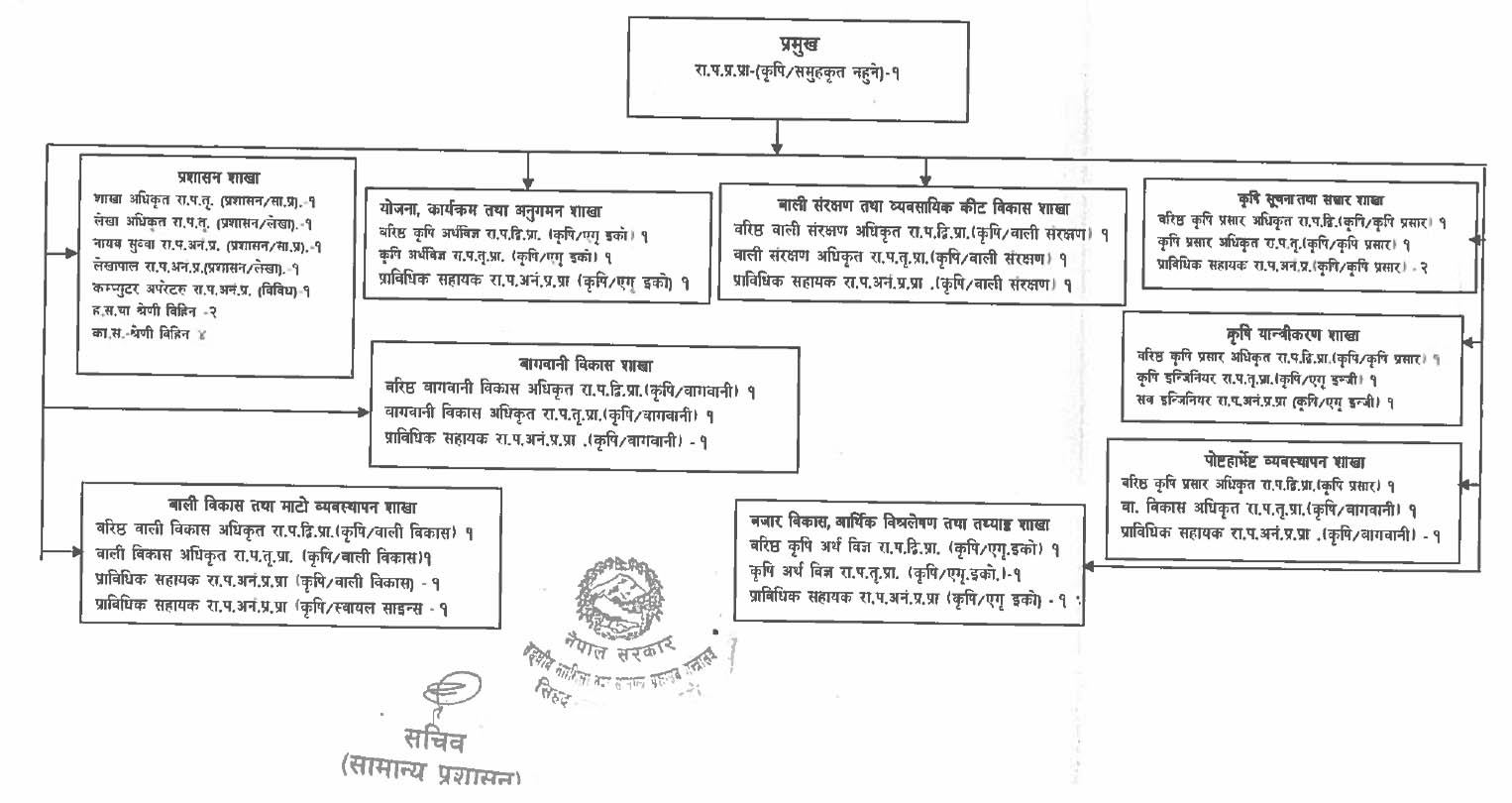 Organization Chart